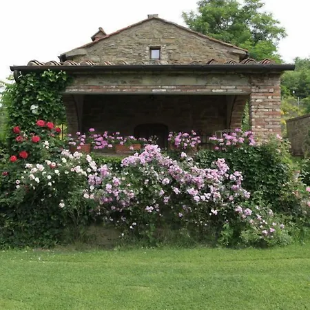 Gellino By Posarellivillas Landsted Misciano